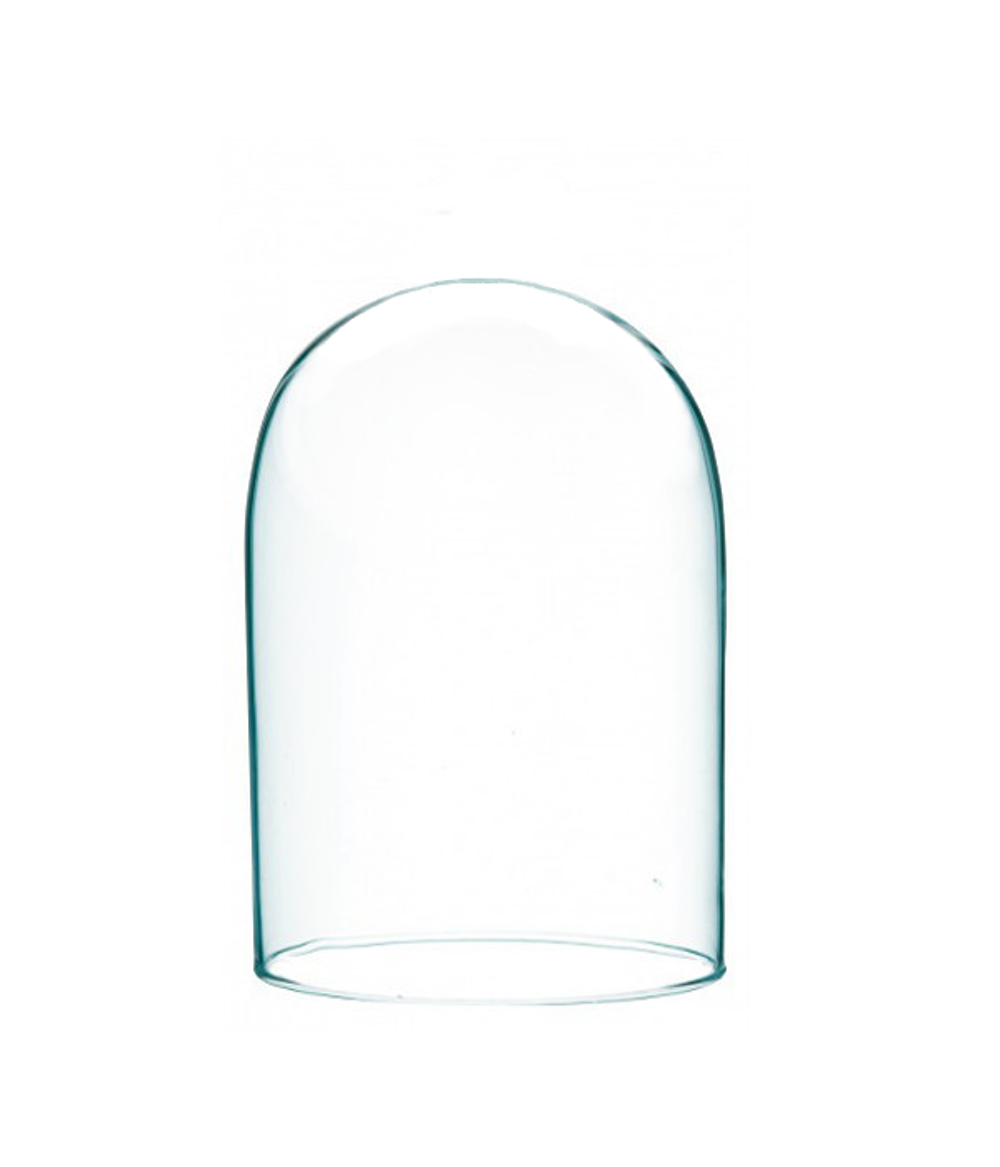 CLOCHE DE VERRE Décoration