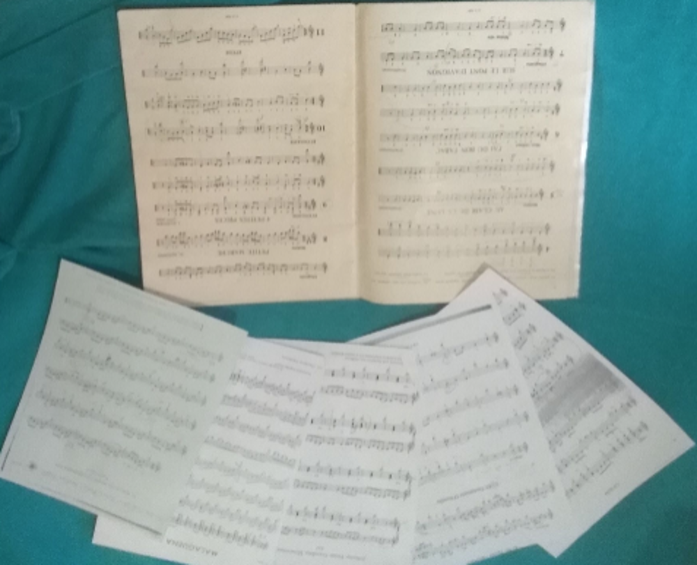 La Guitare Th&eacute;orie et pratique Instruments de musique