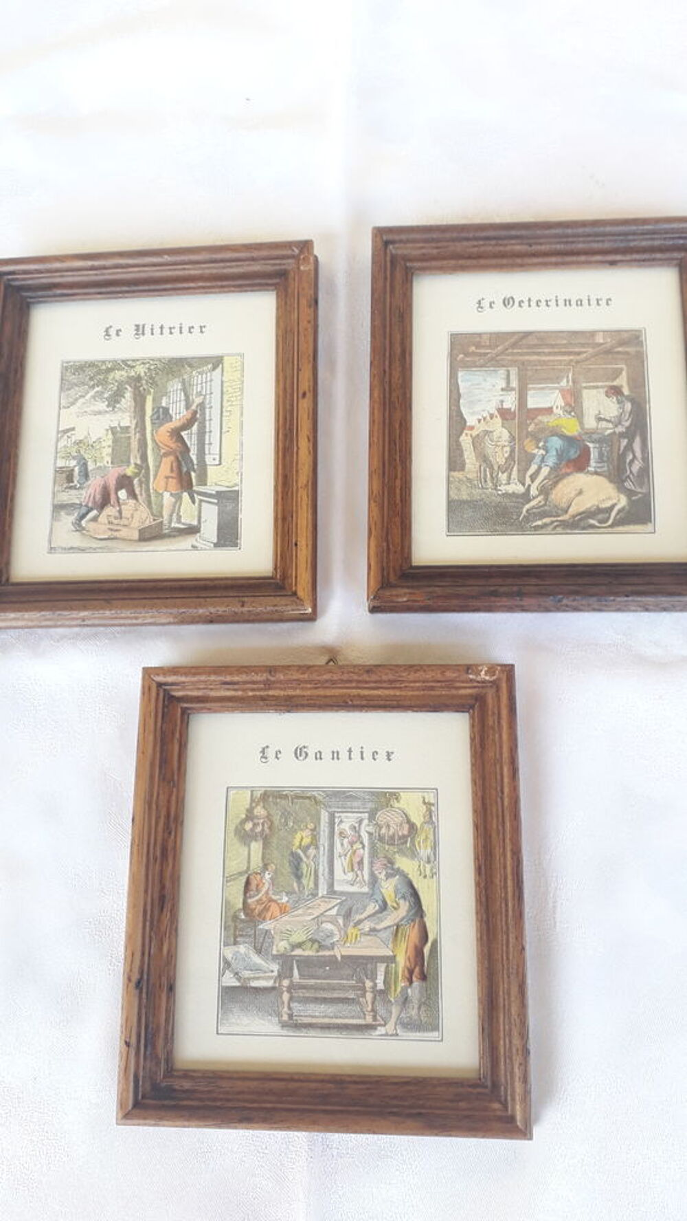 Le v&eacute;t&eacute;rinaire, le gantier, le vitrier
Décoration