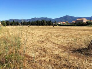  Terrain � vendre 9201 m� Palau-del-vidre