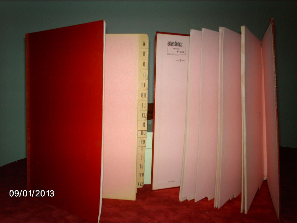 2 classeurs rose Livres et BD