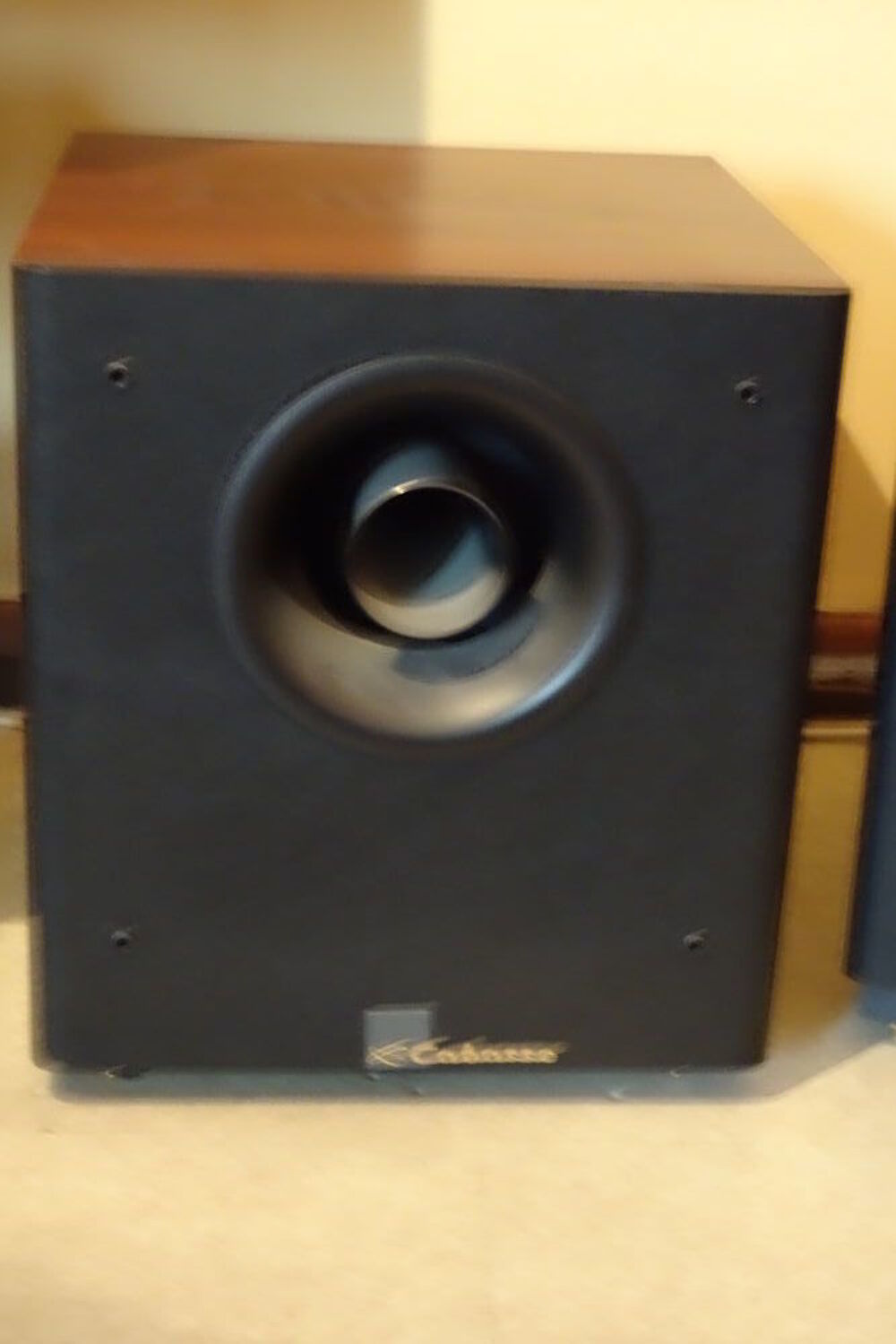 caisson de basse Cabasse Audio et hifi