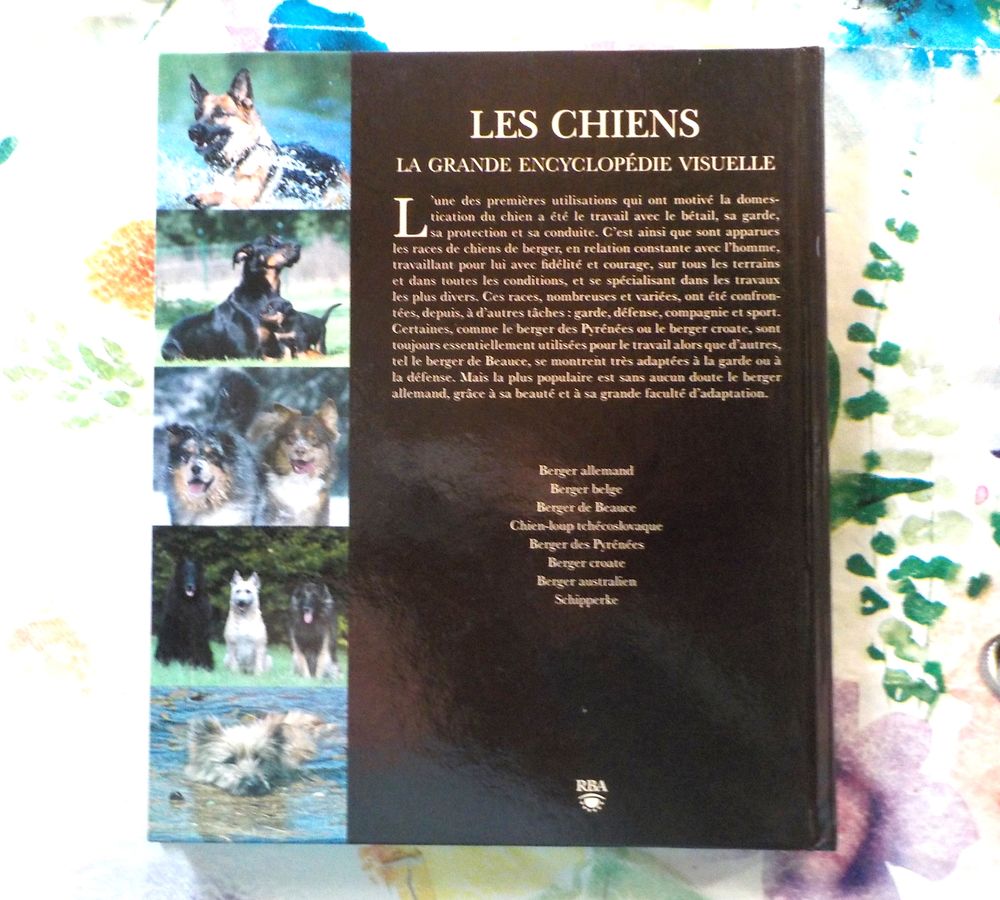 CHIENS DE BERGER Les chiens La grande encyclop&eacute;die visuelle Livres et BD