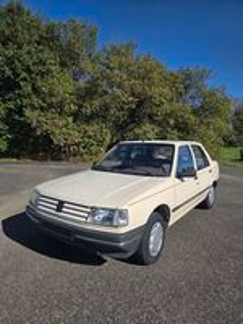 309 1.6 GR 1990 occasion 81370 Saint-Sulpice