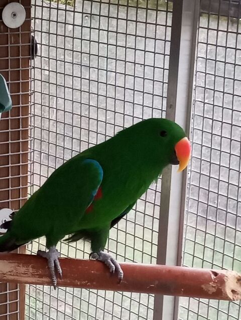 Recherche d'&eacute;change 0 49410 Le marillais