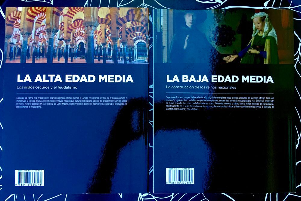 Le Moyen &acirc;ge (2 tomes); 2 Beaux livres d'art &amp; d'Histoire Livres et BD