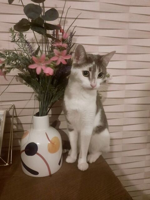 Silo Chatte - Leforest 62 59500 Douai