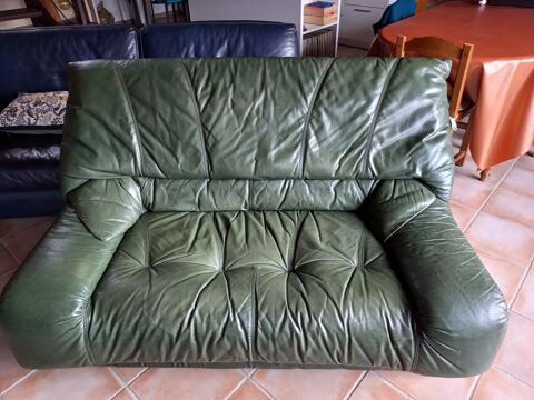 fauteuil en cuir 50 Sauvessanges (63)