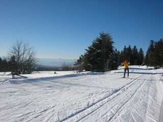 Location  Maison - Villa 