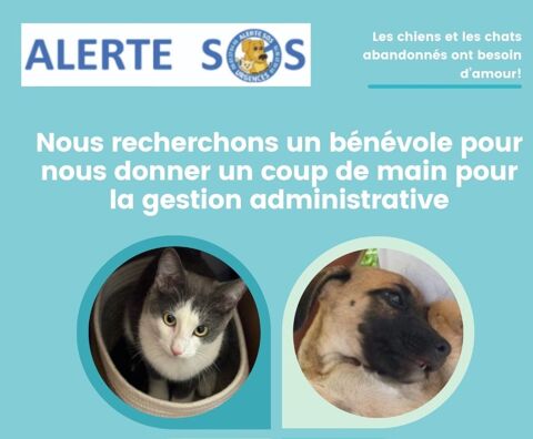 NOUS RECHERCHONS UN(E) BÉNÉVOLE POUR NOUS DONNER UN COUP DE MAIN POUR LA GESTION ADMINISTRATIVE 0 75018 Paris