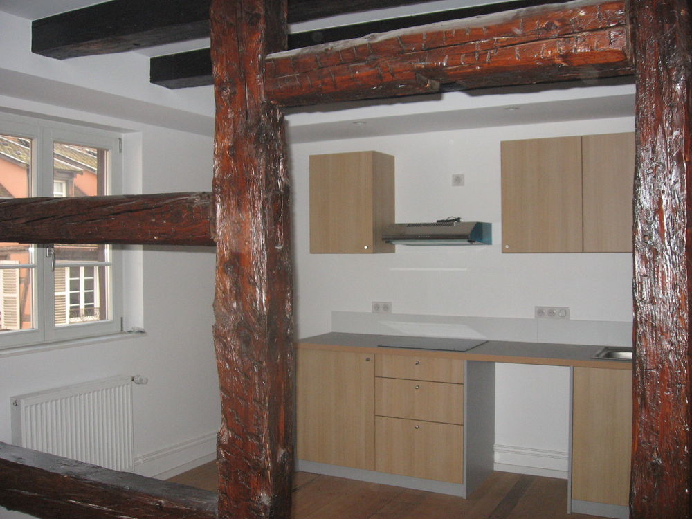 Location Appartement Colmar 68000 Proche Petite Venise F4   701€  66m2 Colmar