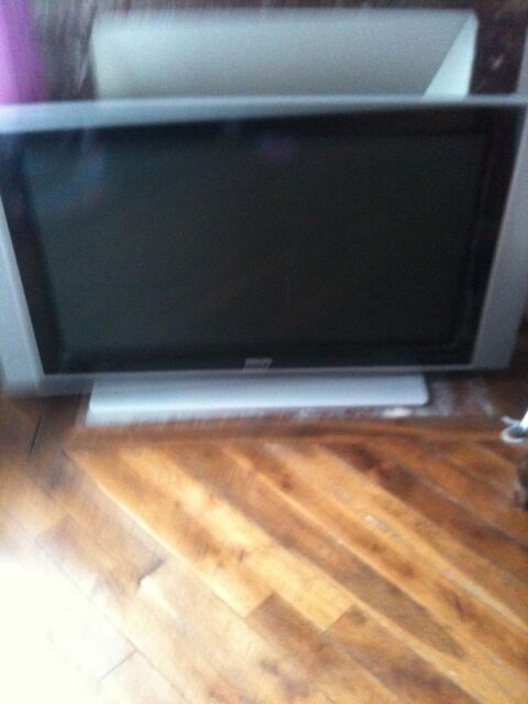 TELEVISON   123CM    200� 200 Fontainebleau (77)