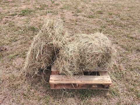 petites bottes de foin bio  récolte 2025 2 14370 Argences