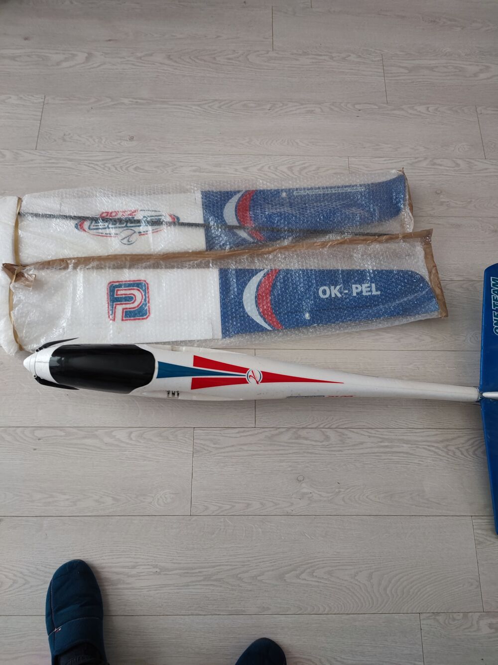 Planeur GAMMA 2100 RC Sports