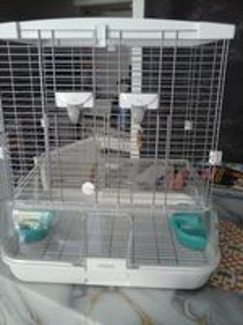   cage vision impeccable 