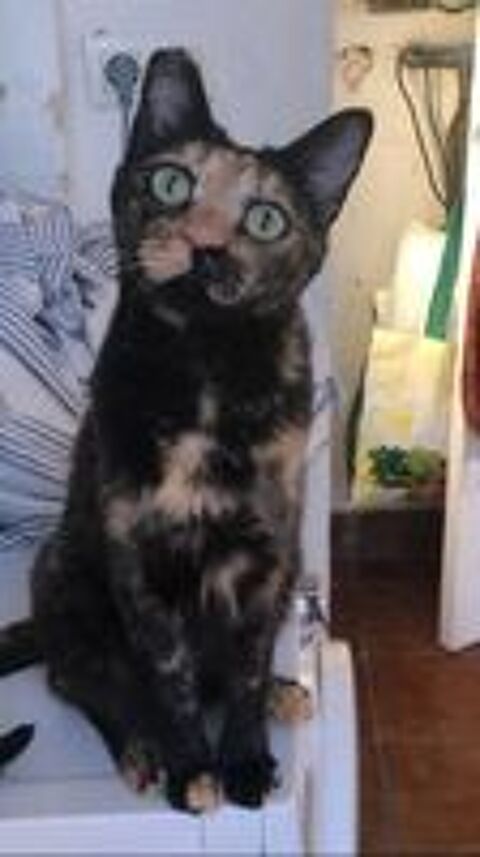  FIONA 