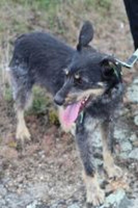   SIMKA SE TROUVE DANS UN REFUGE EN UKRAINE 