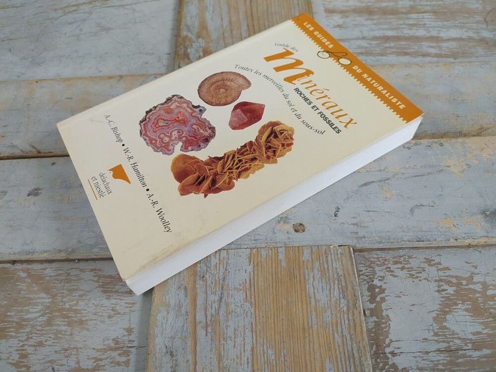 Livre Delachaux et Niestl&eacute; Guide des Min&eacute;raux et Fossiles Livres et BD
