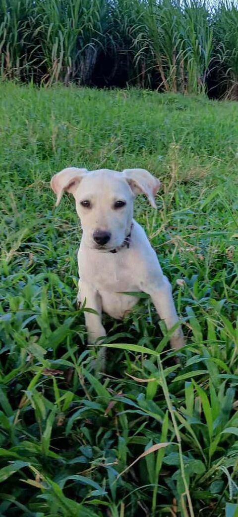 Je suis SUNKA 300 78000 Versailles