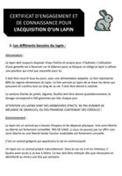   Divers lapin de tout ges et de toute race  