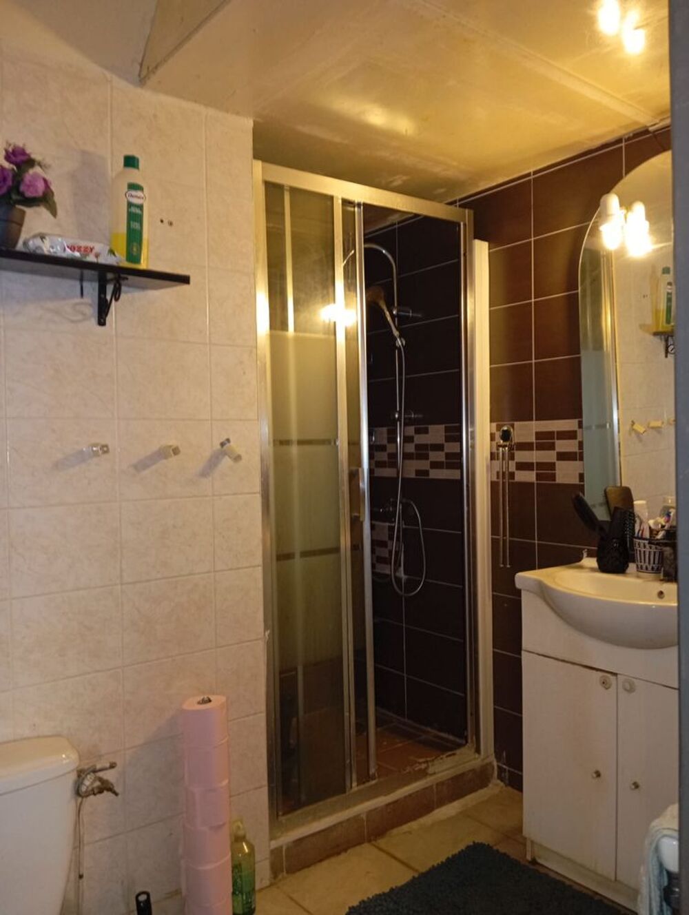 Vente Maison Maison familiale duplex lumineuse avec jardins & garage Romans-sur-isère