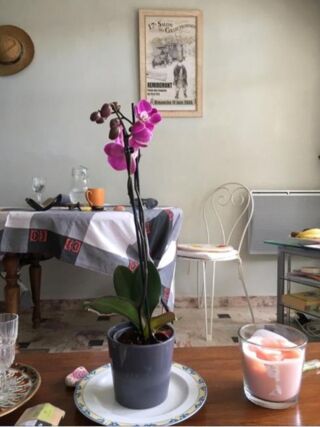  Appartement � vendre 1 pi�ce 27 m�