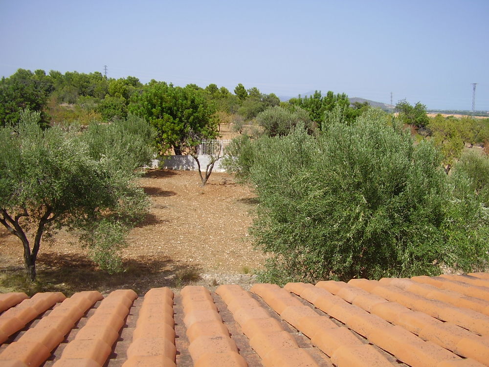   Maison piscine PENISCOLA ESPAGNE dispo  18/07 01/08 Espagne, BENICARLO