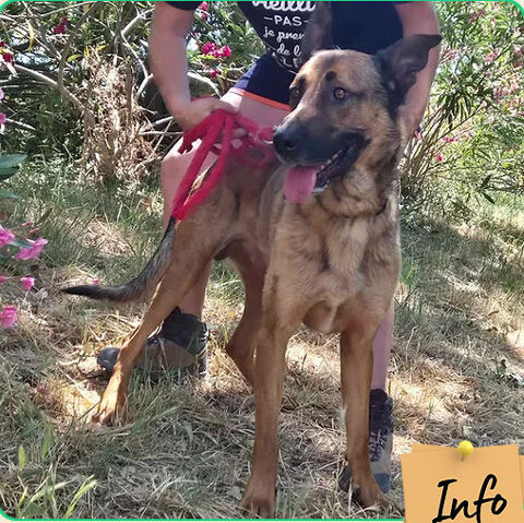 Tito 230 26700 Pierrelatte