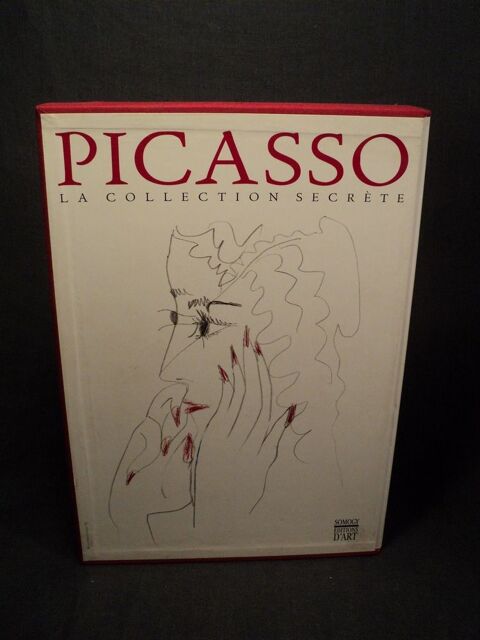 Livre Picasso La collection Secrte? 35 Loches (37)