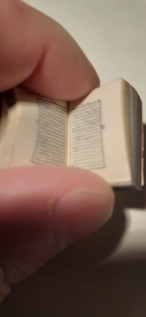 Coran mignature 100 Crosne (91)