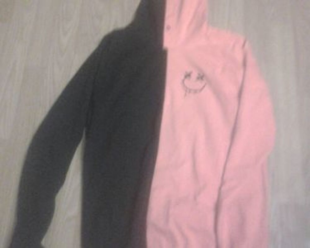 sweat a capuche bicolore Vêtements