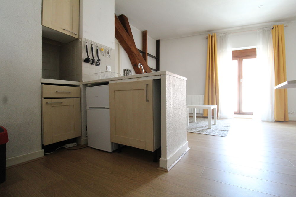 Location Appartement T1  PROCHE GEM Grenoble