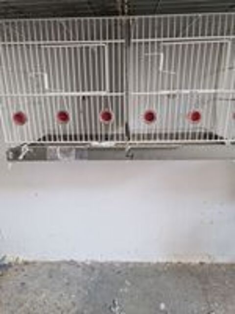   Cage de reproduction 