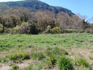 Vente Terrain Très beau terrain à bâtir 618m2, Pyrénées Orientales Ria-sirach