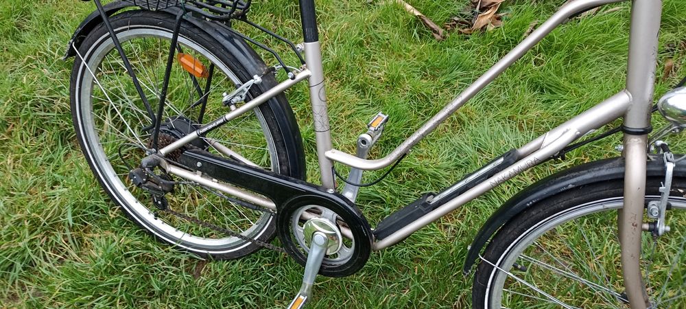 V&eacute;lo &agrave; assistance &eacute;lectrique Sports