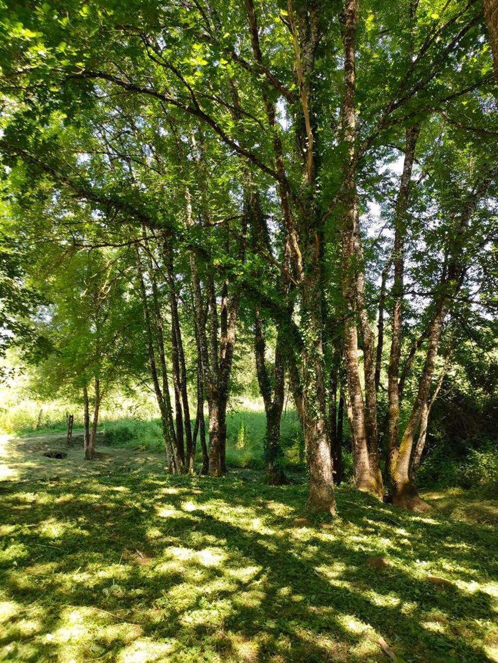 Vente Terrain Terrain de loisir de 1939m2 à Ladornac 24120 belle Vue! La dornac