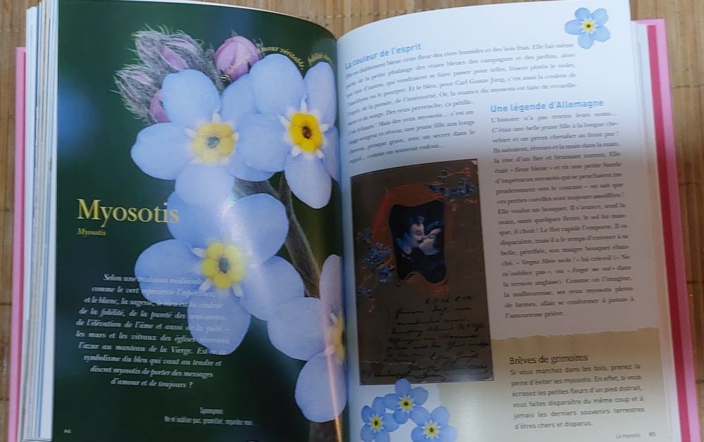 Livre le Langage des fleurs Livres et BD