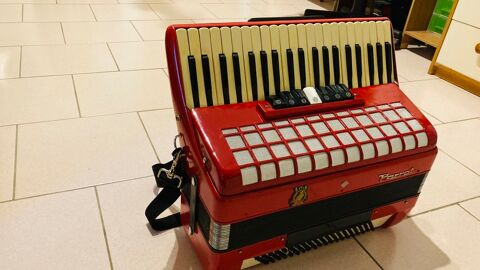 accord�on, Parrot 120 Corbeilles (45)