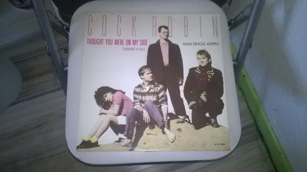 Vinyle Cock Robin
Thought You Were On My Side
Maxi 45T
198
CD et vinyles