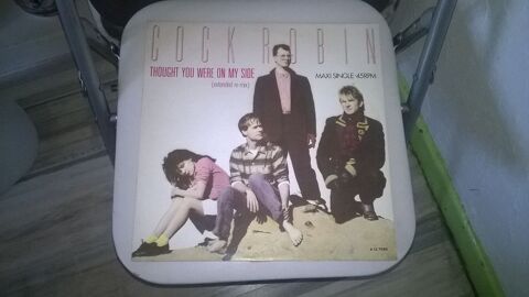 Vinyle Cock Robin
Thought You Were On My Side
Maxi 45T
198
10 Talange (57)