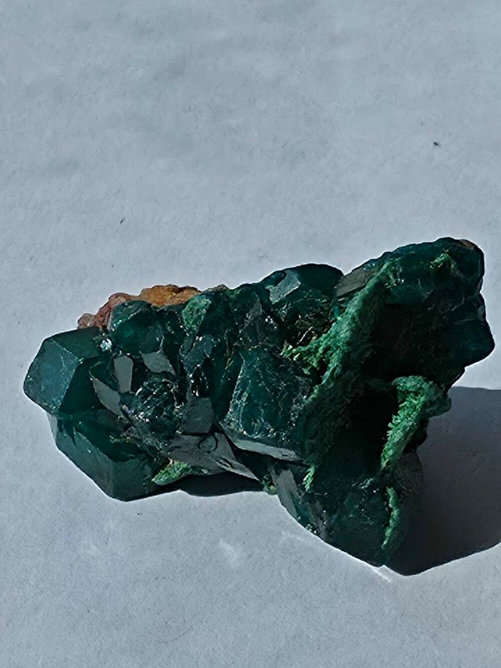 Rare Dioptase Verte sur Matrice-Katanga, RDC-8g 