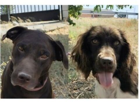  LIAM et CUCA 600 27620 Gasny