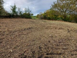  Terrain � vendre 10000 m� Castanet