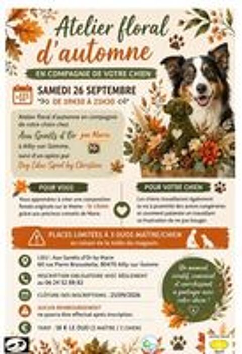   Atelier floral avec mon chien 