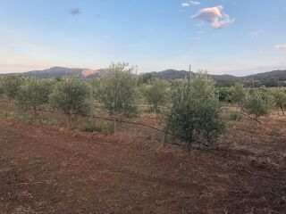  Terrain à vendre 10000 m² Estagel
