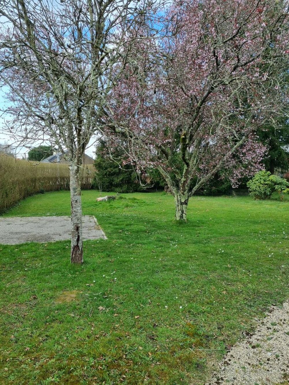 Vente Terrain Terrain constructible à vigneux de Bretagne Vigneux-de-bretagne