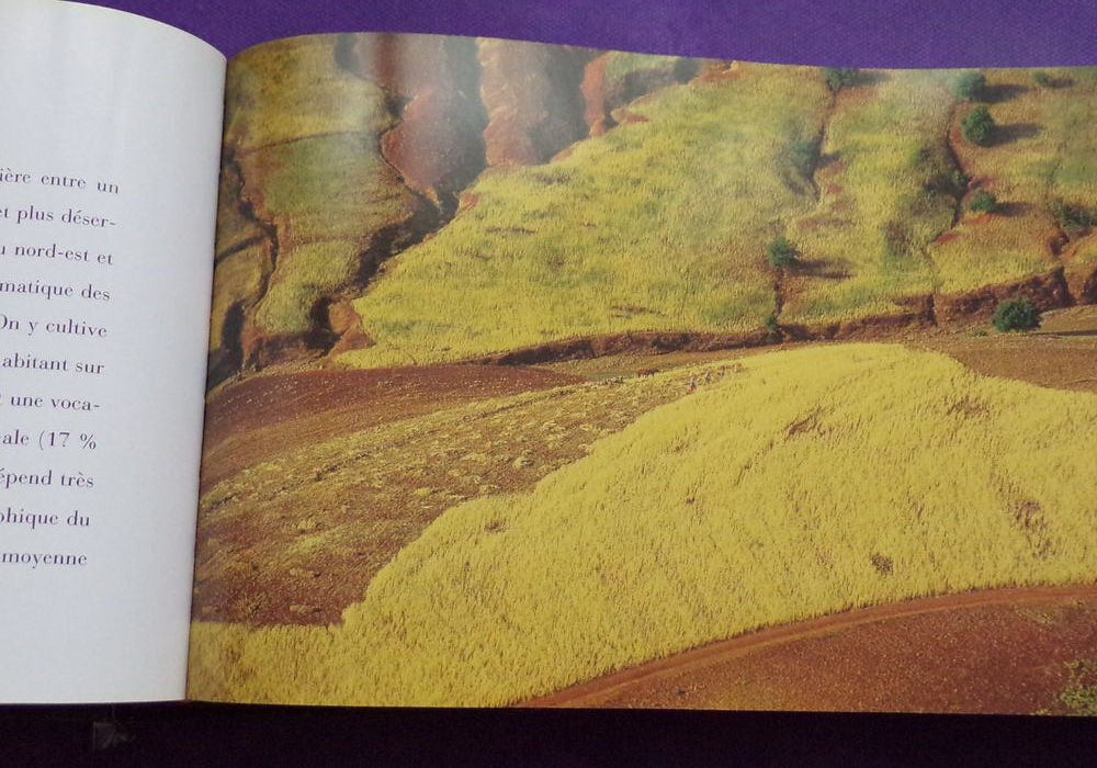 365 jours pour la terre Yann Arthus-Bertrand Herv&eacute; Le Bras &eacute; Livres et BD