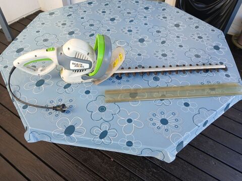 Taille haie lectrique 35 Dou-la-Fontaine (49)