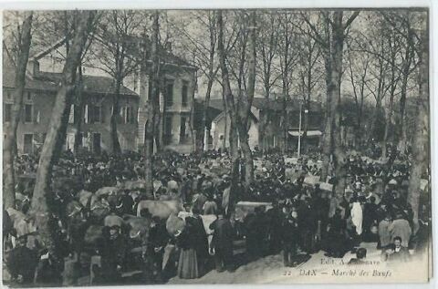 marché aux boeufs a dax 10 Castel-Sarrazin (40)