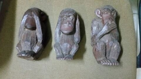 3 singes 15 Viviers-du-Lac (73)